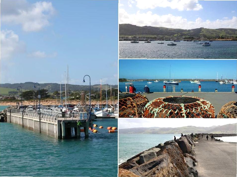 randominio | Apollo Bay Harbour: Coastal Charm and Fishing