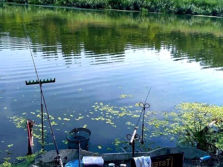 randominio | Fyans Creek: Fish or relax by Fyans Creek