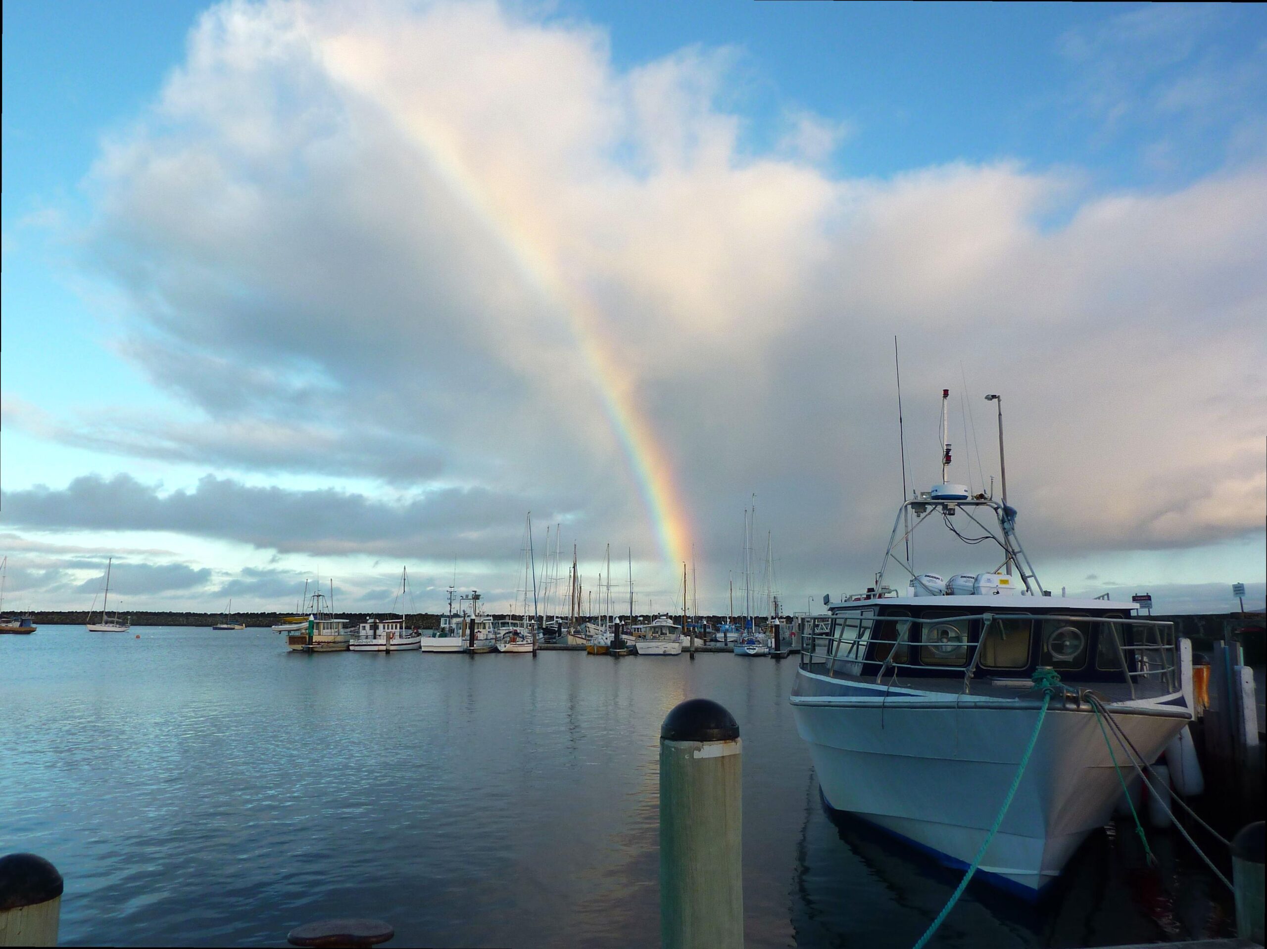 randominio | Apollo Bay Harbour: Coastal Charm and Fishing