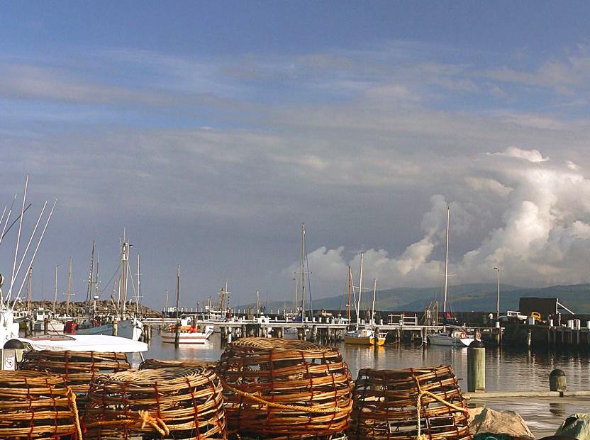 randominio | Apollo Bay Harbour: Coastal Charm and Fishing
