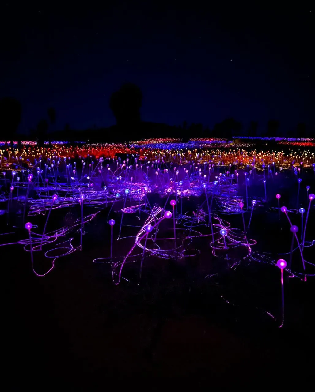 randominio | Do You Have to Pay to See Field of Light at Uluru?