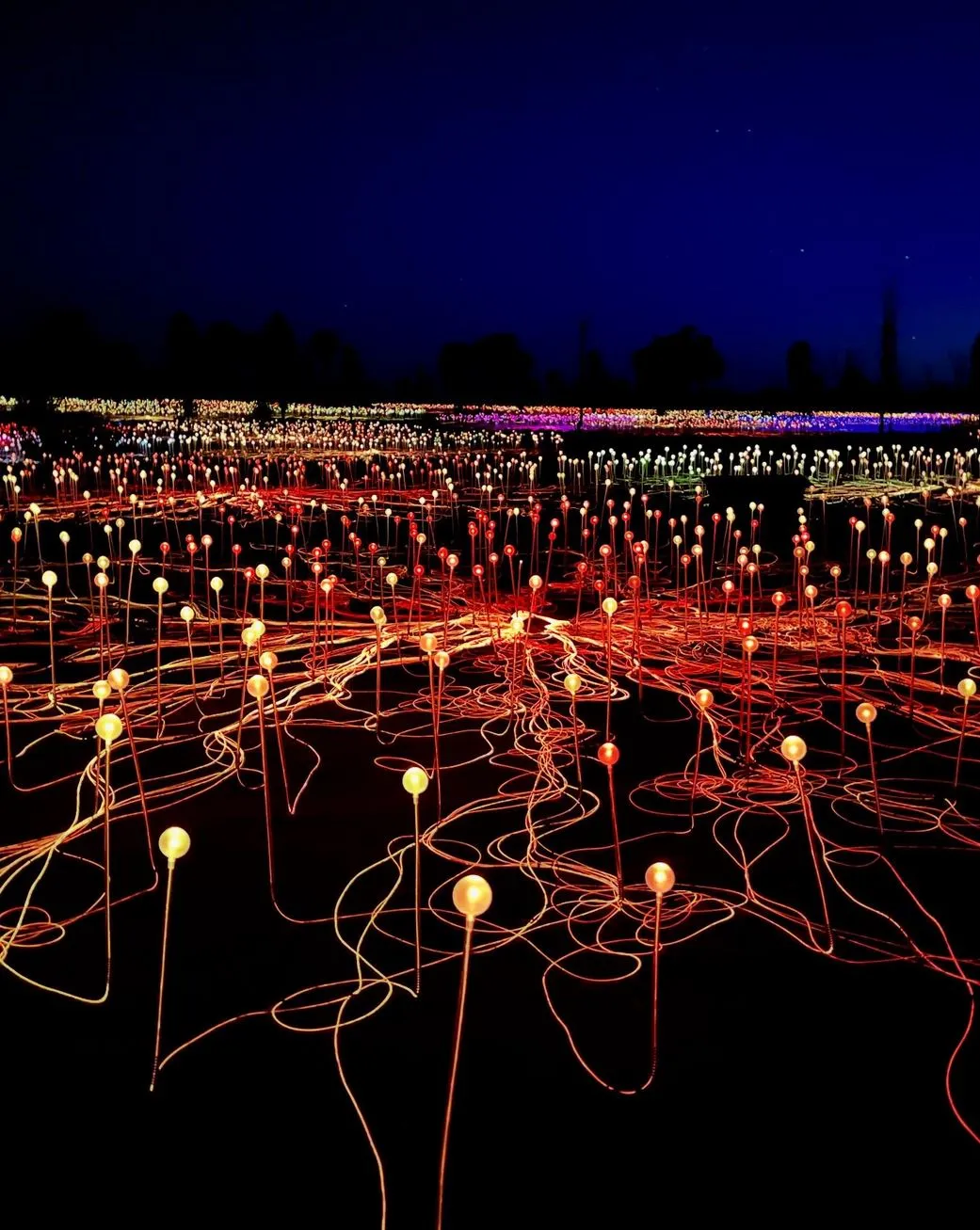 Do You Have to Pay to See Field of Light at Uluru?