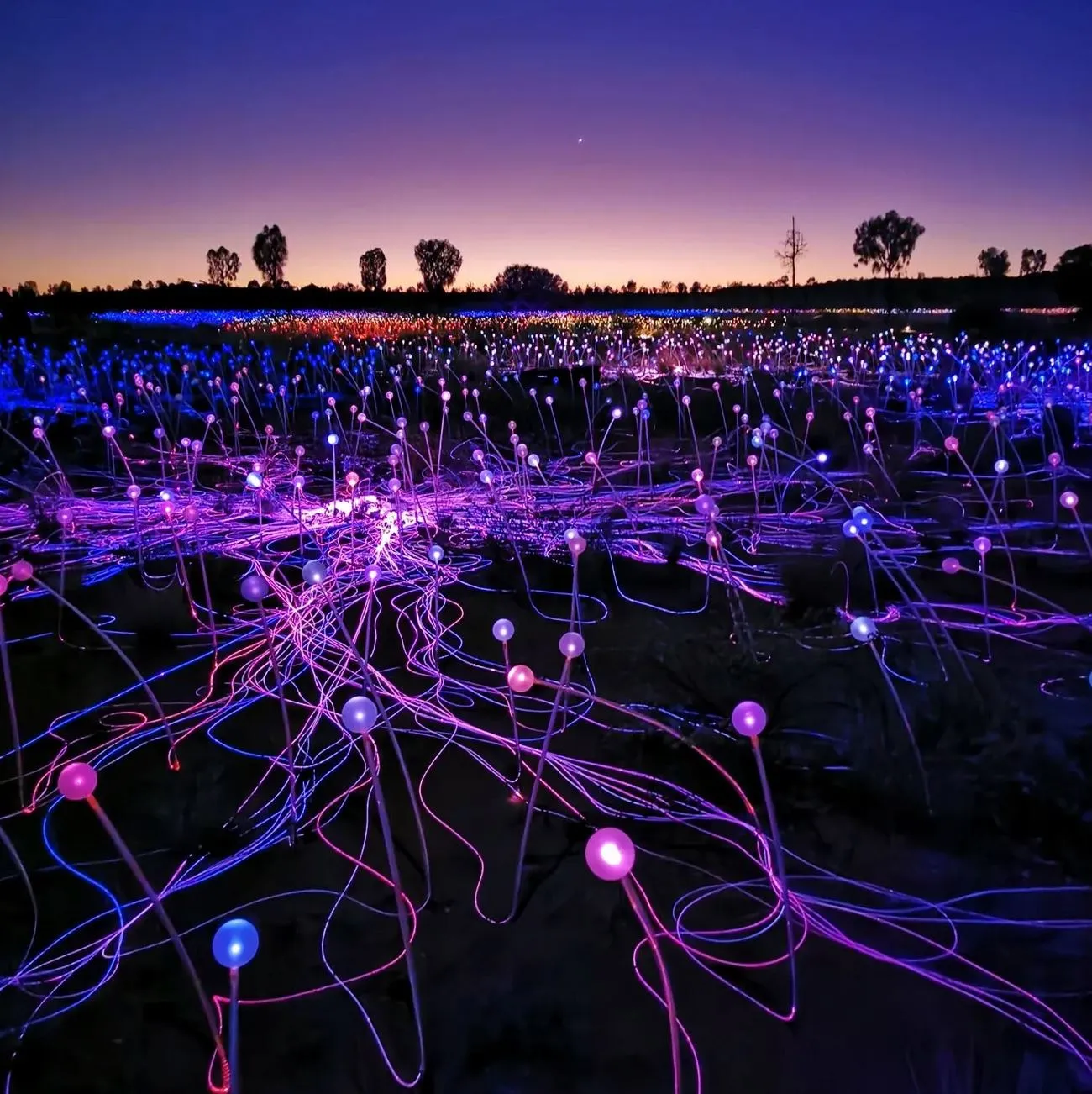 randominio | Do You Have to Pay to See Field of Light at Uluru?