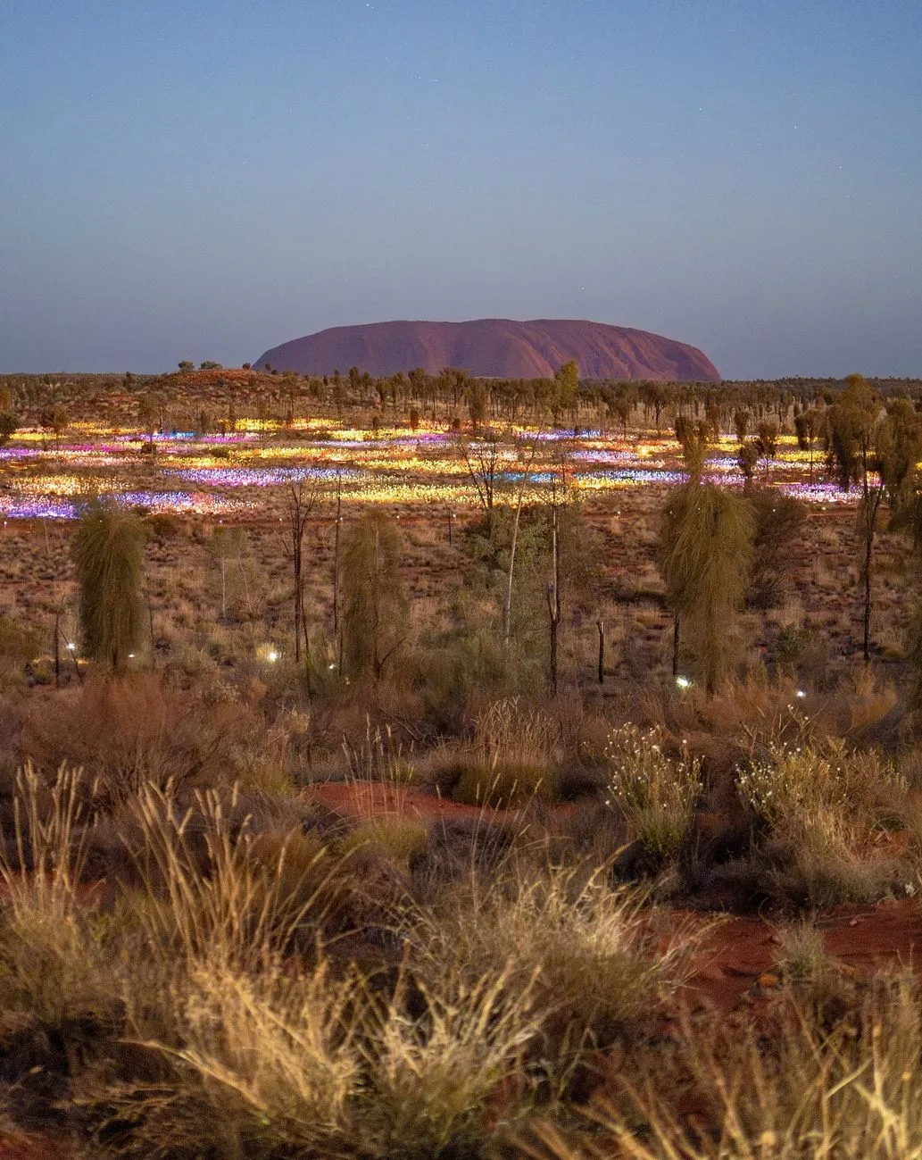 randominio | Do You Have to Pay to See Field of Light at Uluru?